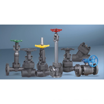 API 602 Forged Steel Valves Accept OEM